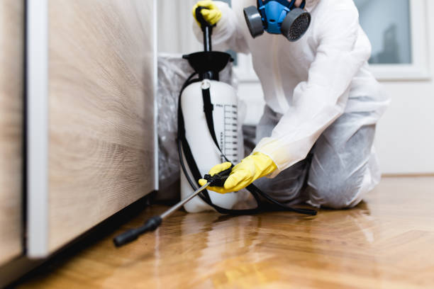 Best Mosquito Control Services  in Mulgee, OK