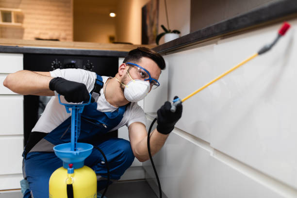 Best Best Pest Control Companies  in Mulgee, OK