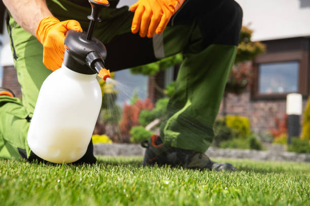 Best Pest Control for Restaurants  in Mulgee, OK