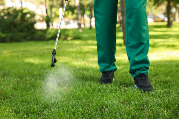 Best Residential Pest Control  in Mulgee, OK
