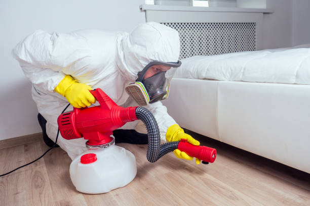 Reliable Okmulgee, OK Pest Control Solutions