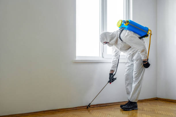 Best Affordable Pest Control Services  in Mulgee, OK