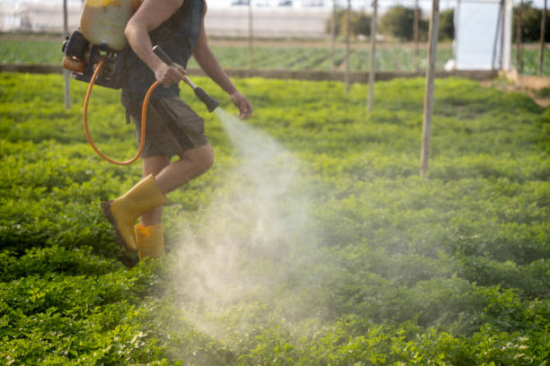 Best Pest Inspection Near Me  in Mulgee, OK