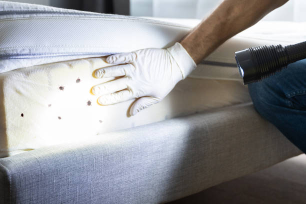 Best Best Pest Control Near Me  in Mulgee, OK